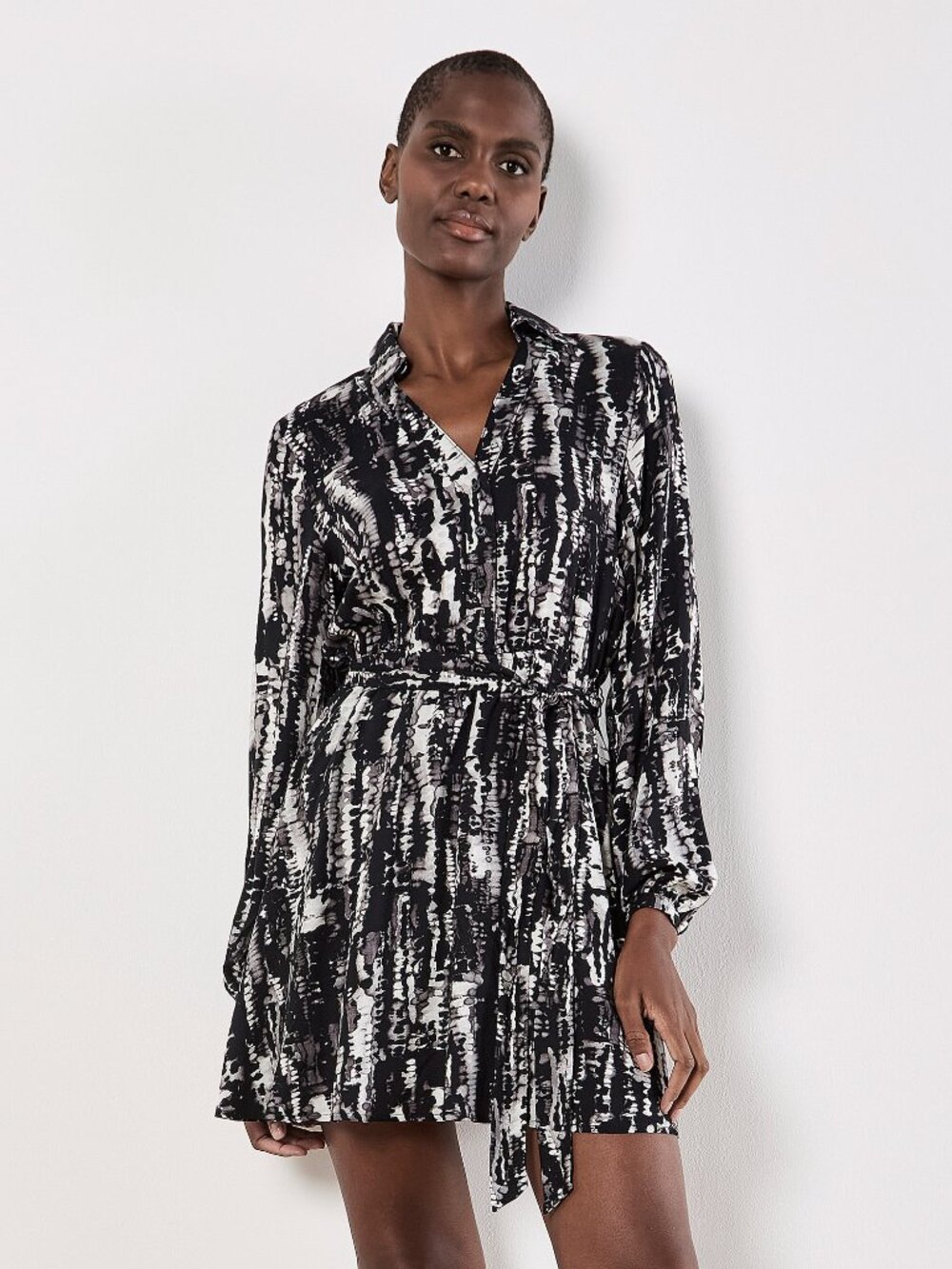 Abstract Print Shirtdress